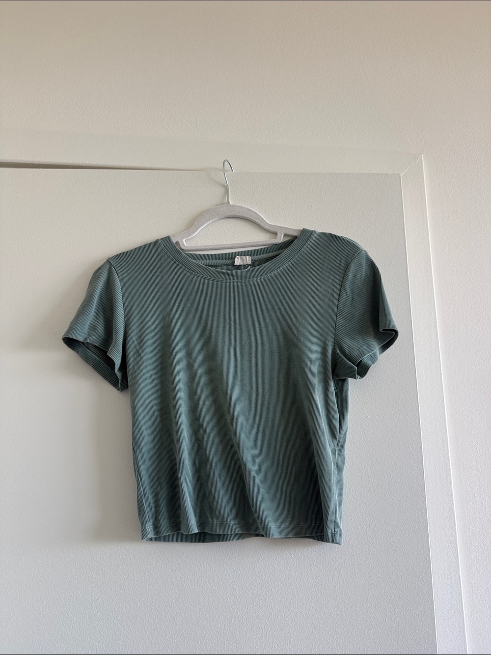 Aritzia Short Sleeve Crew Tee in Dusty Sage
